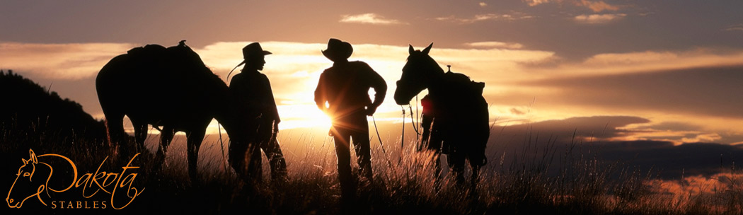 Dakota Stables Banner