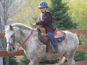 horse for lease